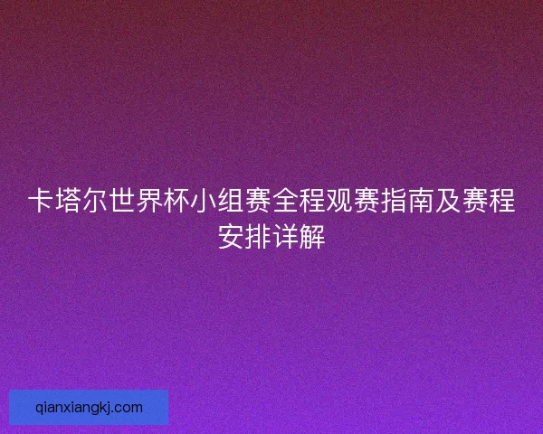 卡塔尔世界杯小组赛全程观赛指南及赛程安排详解